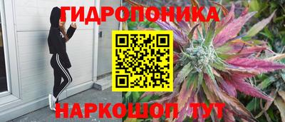 дмт Можга