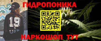 дмт Можга