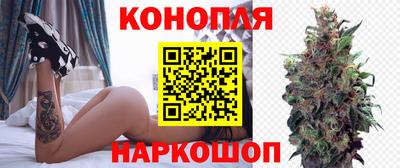 гидропоника Можайск