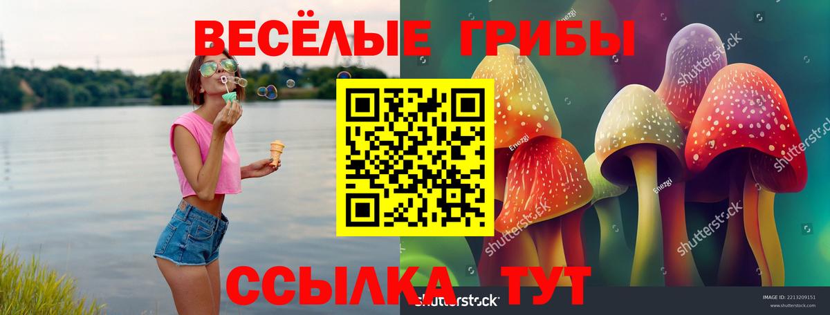 Псилоцибиновые грибы мицелий Усинск